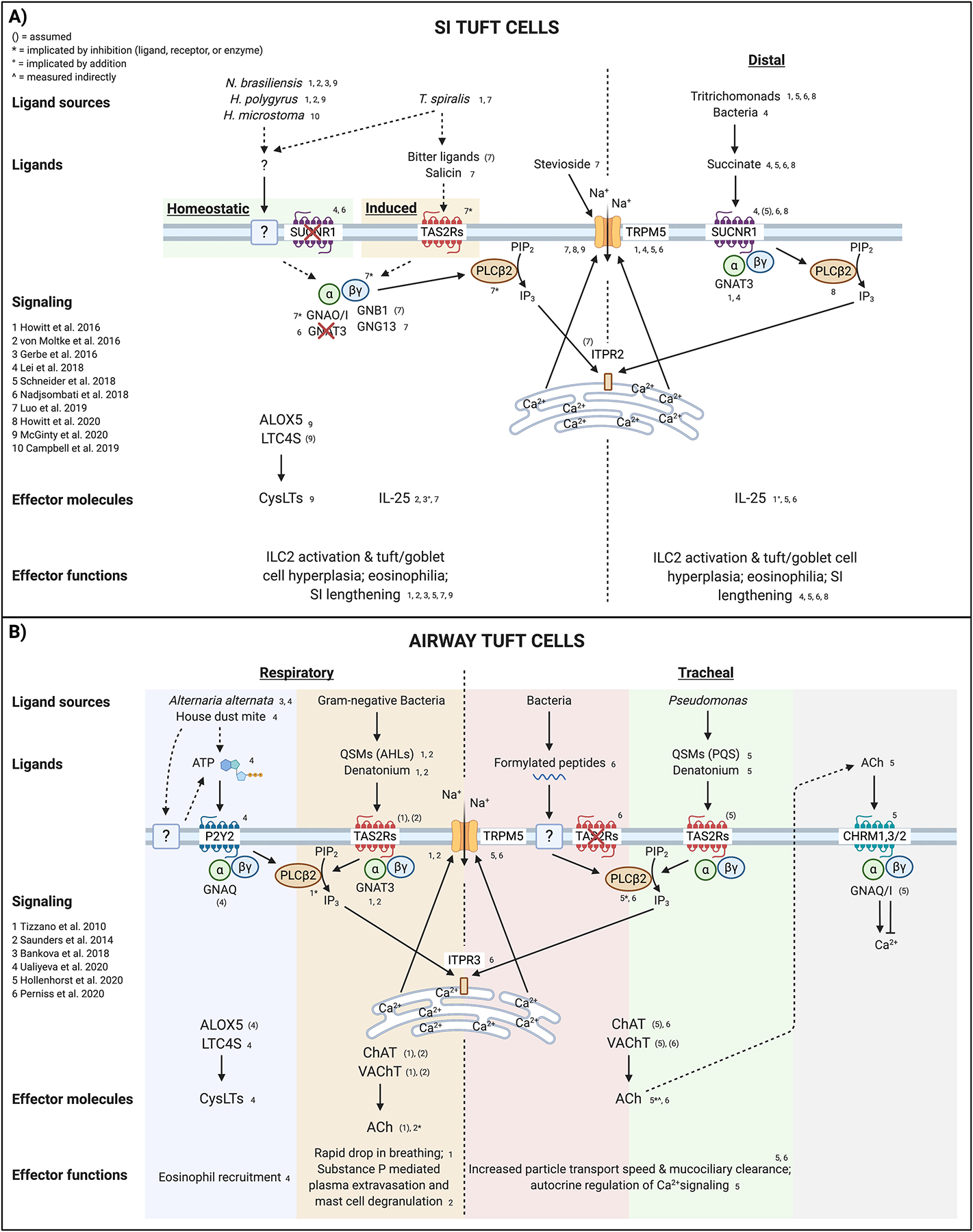 Figure 2: