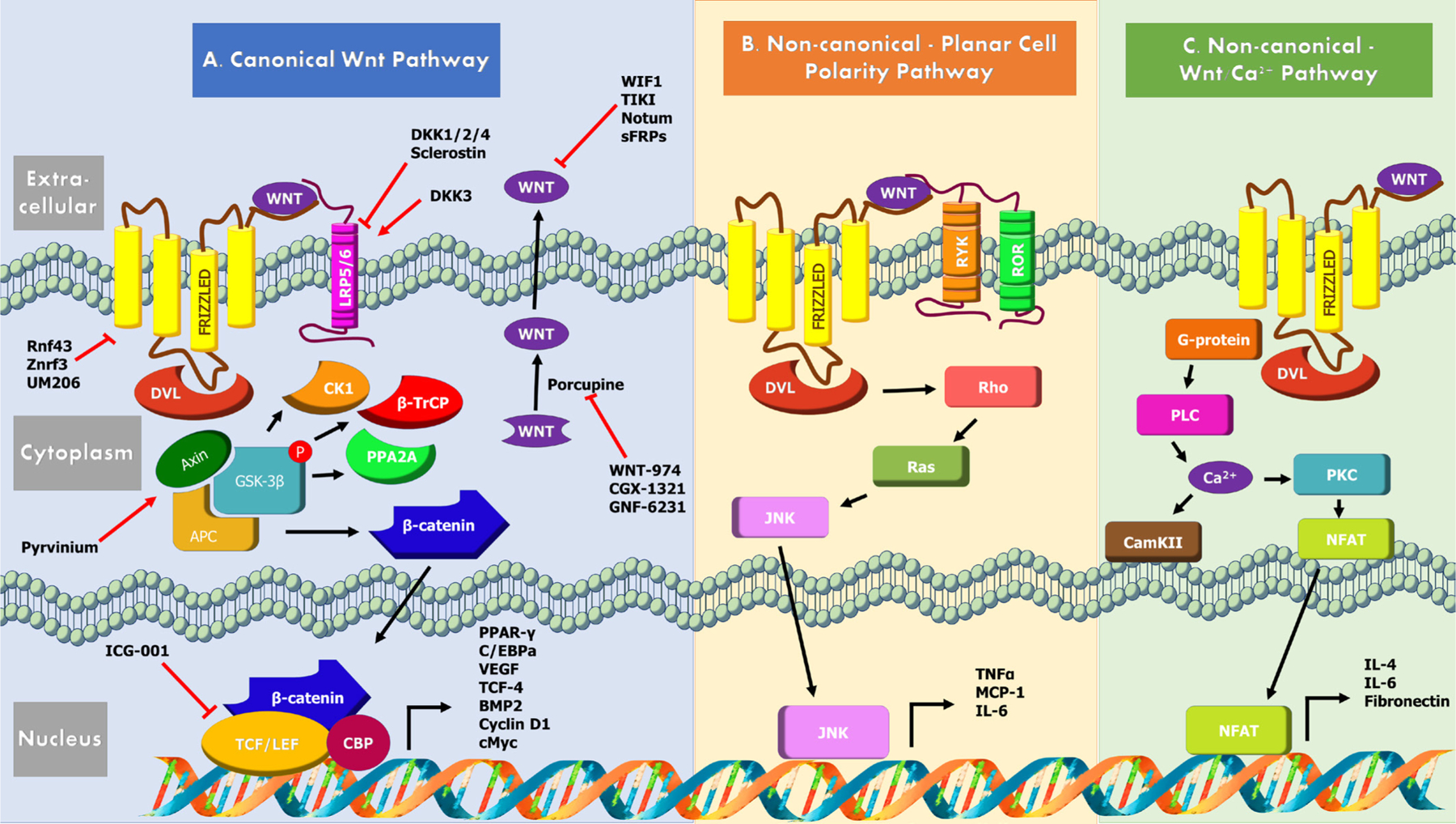 Figure 1: