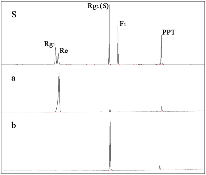 Figure 10