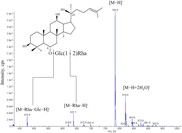 Figure 11