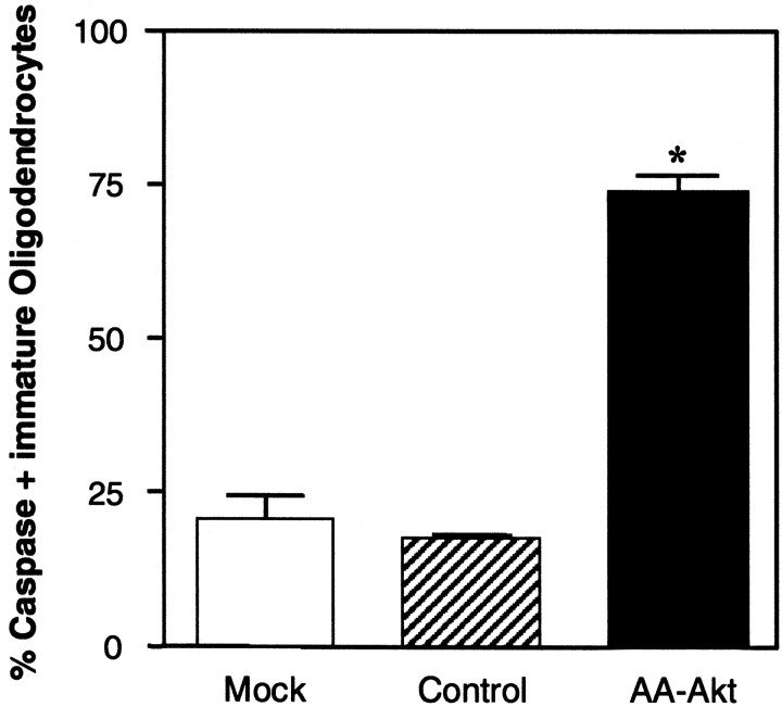 Fig. 9.