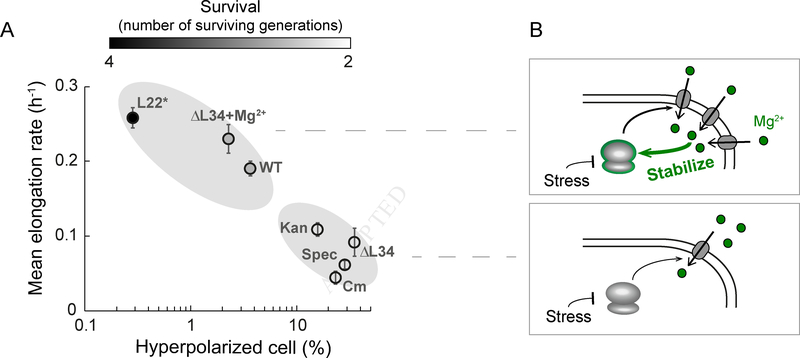 Figure 7.