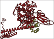 Figure-9
