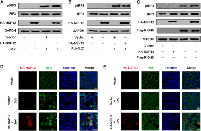 FIG 3