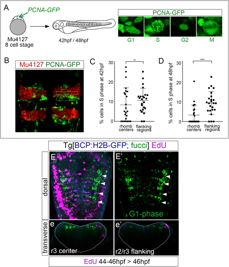 FIGURE 3