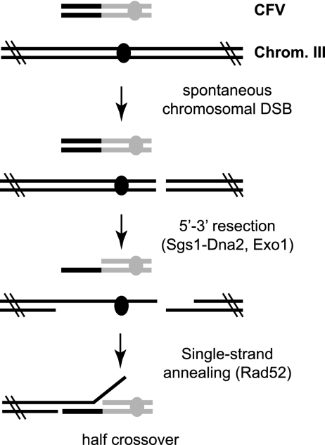 FIG. 7.