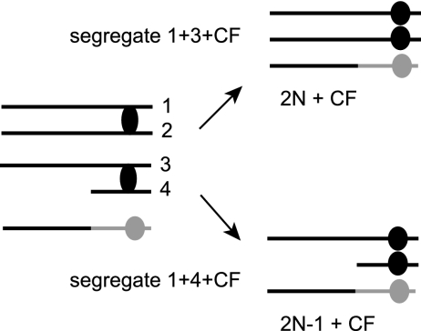 FIG. 8.