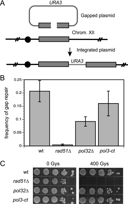 FIG. 6.