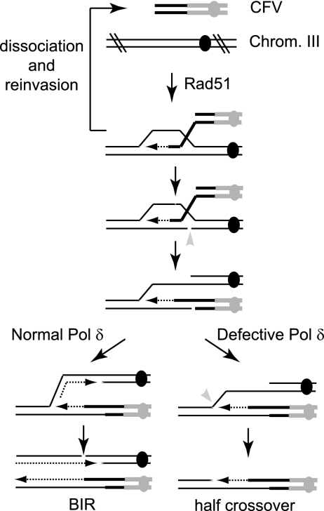 FIG. 5.