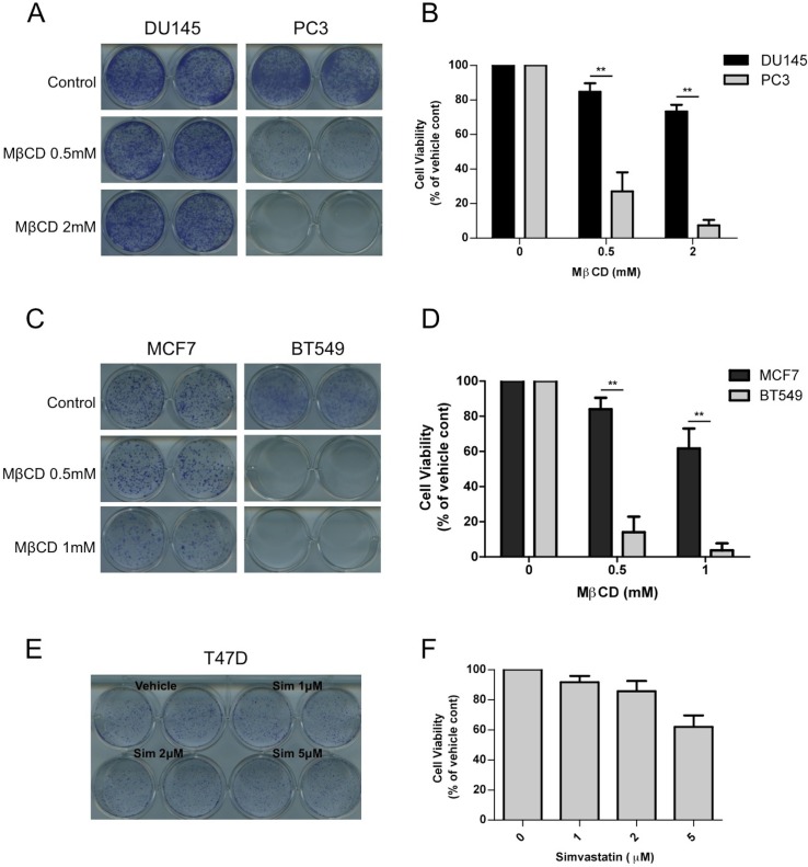 Figure 7—figure supplement 1.