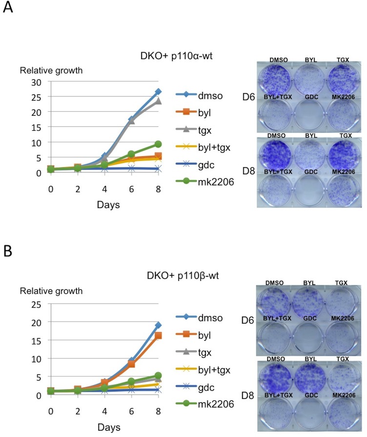 Figure 1—figure supplement 1.