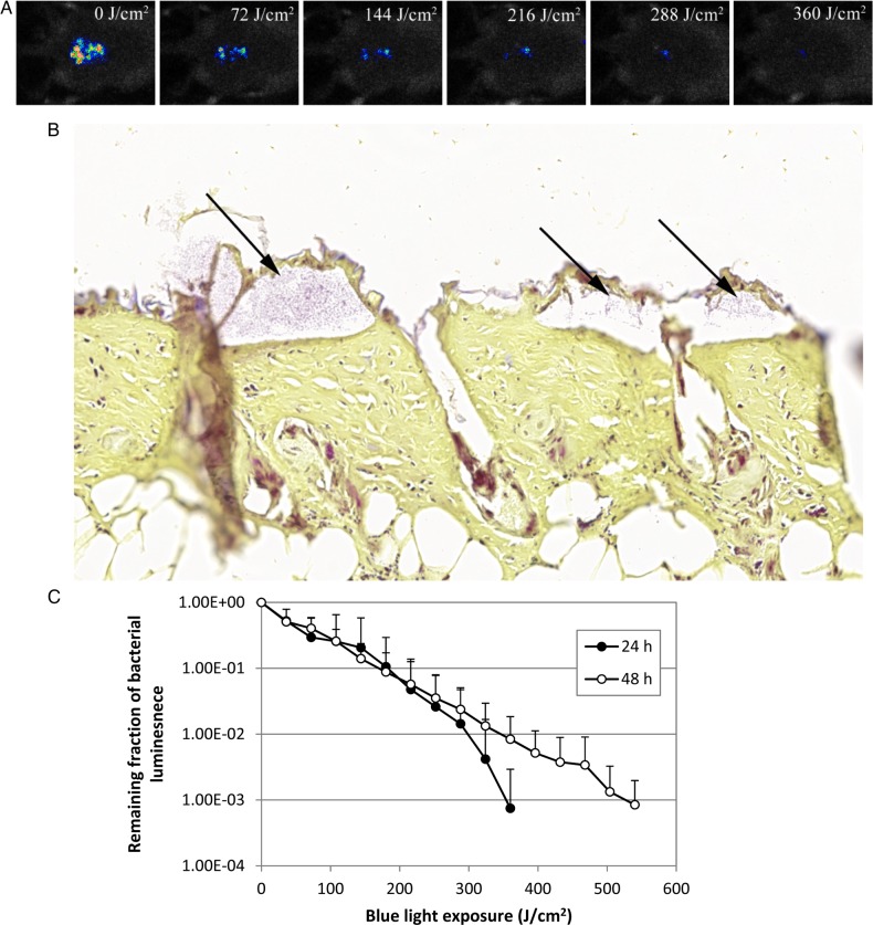 Figure 3.