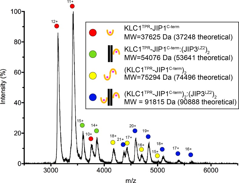 Figure 5—figure supplement 1.