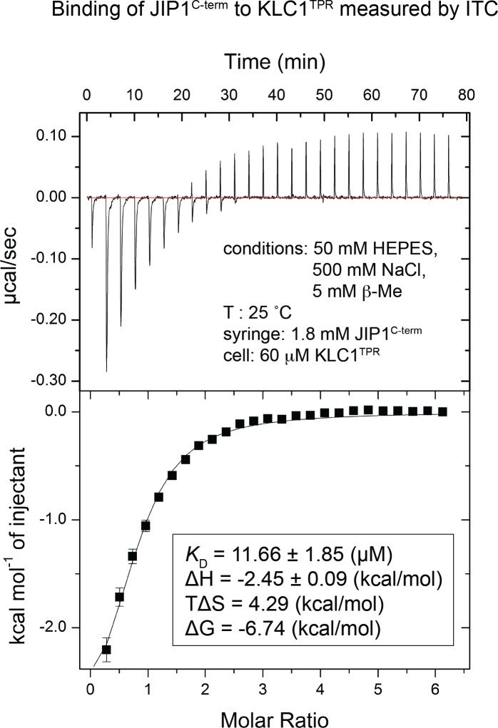 Figure 1—figure supplement 2.