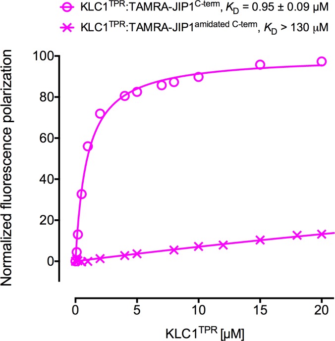 Figure 3—figure supplement 1.