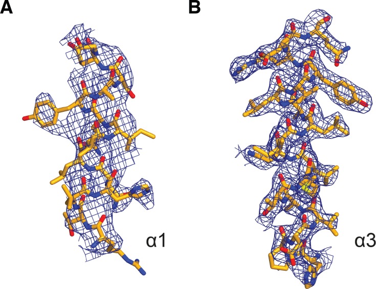 Figure 2—figure supplement 1.