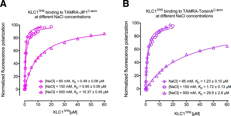 Figure 1—figure supplement 1.