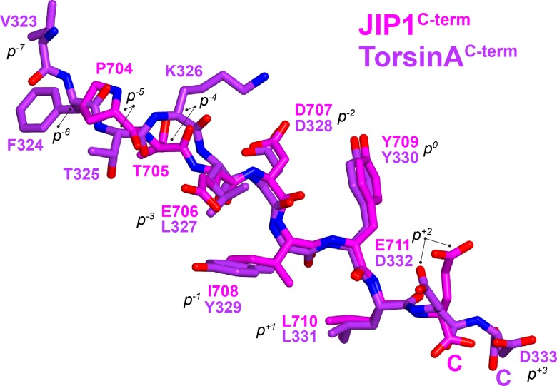 Figure 3—figure supplement 3.