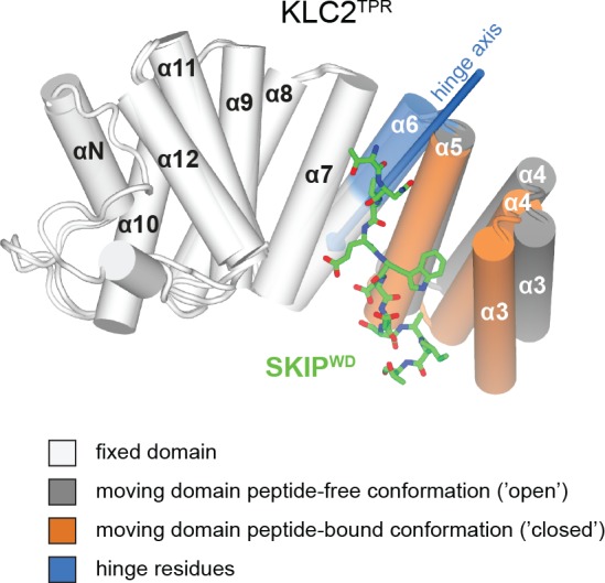 Figure 4—figure supplement 1.