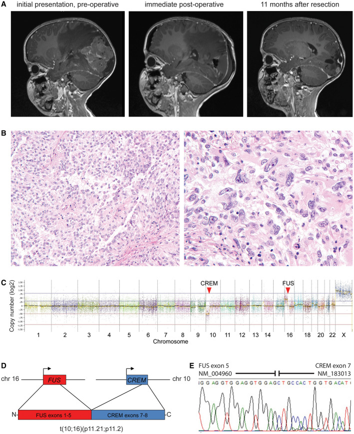 FIGURE 6