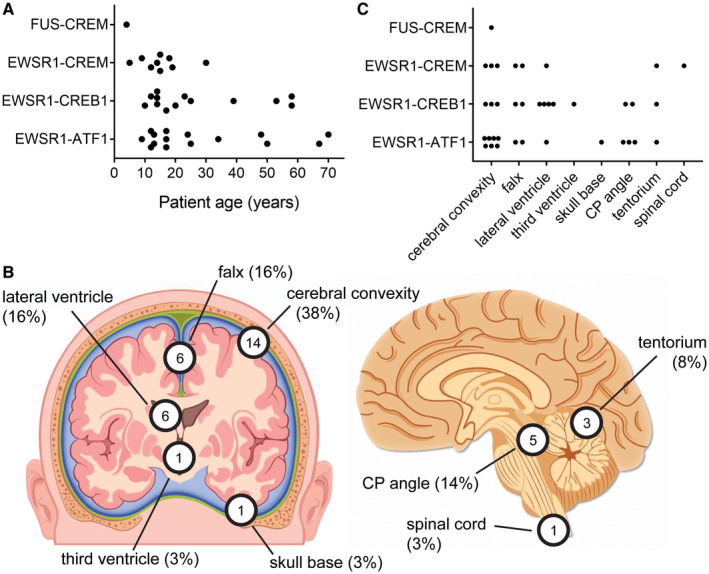 FIGURE 10