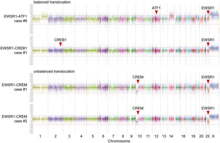 FIGURE 2