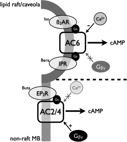 Fig. 8.