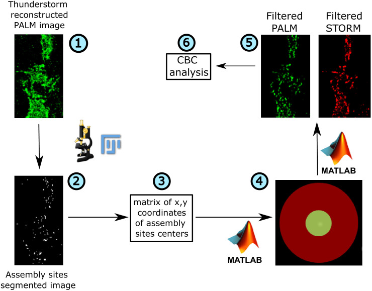 Figure 3—figure supplement 4.