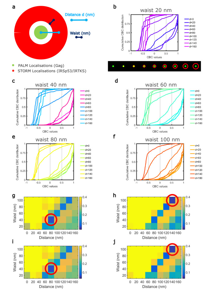 Figure 4—figure supplement 1.