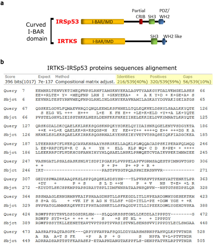 Figure 1—figure supplement 2.