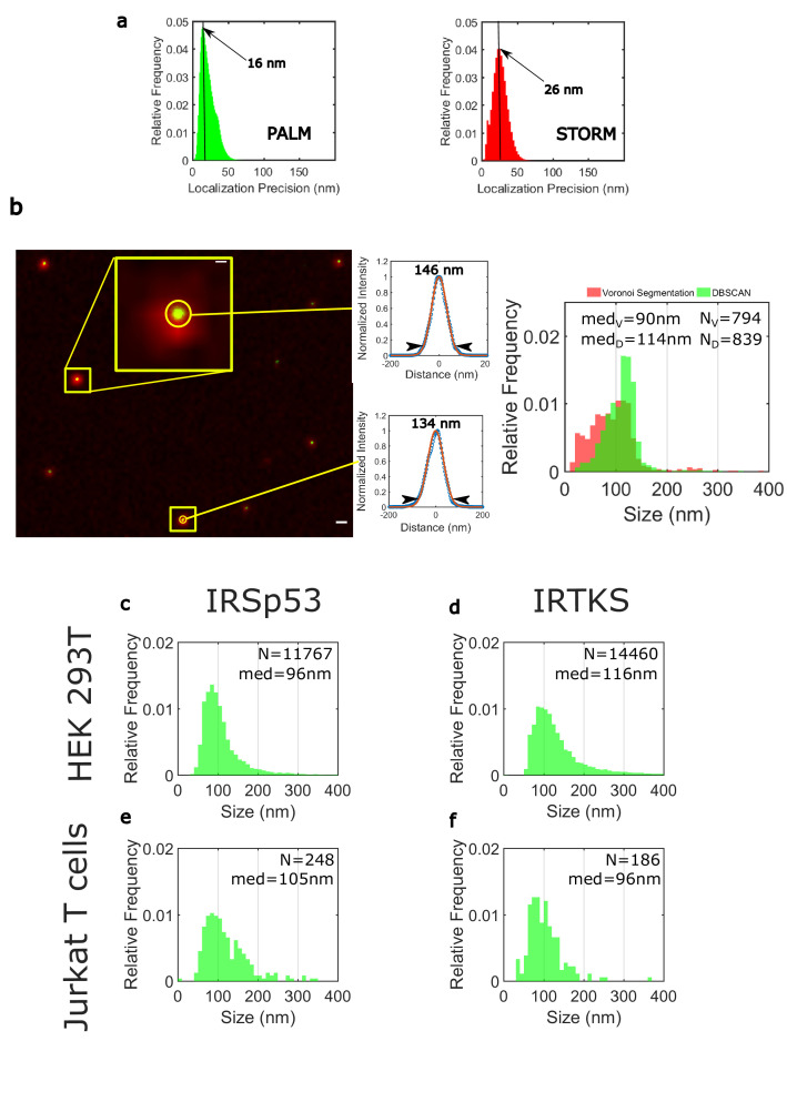 Figure 3—figure supplement 3.