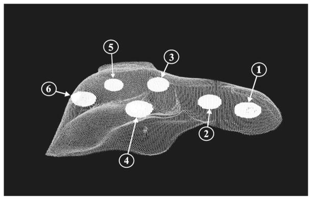 Fig. 8