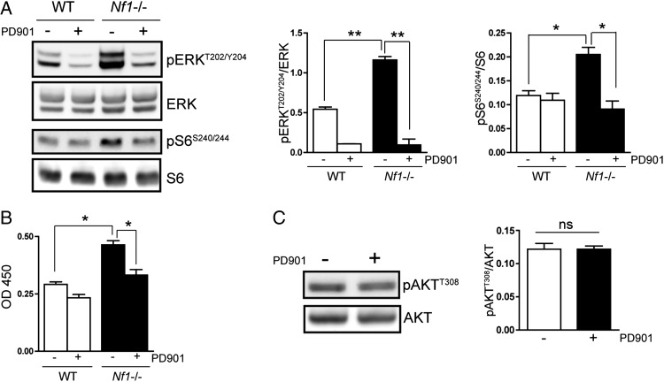 Fig. 4.