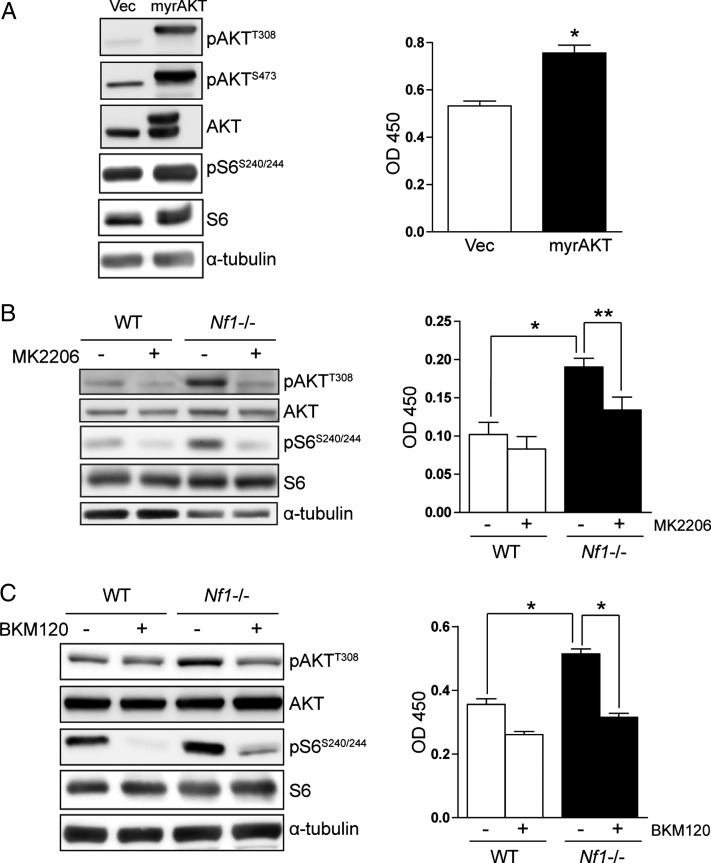 Fig. 2.