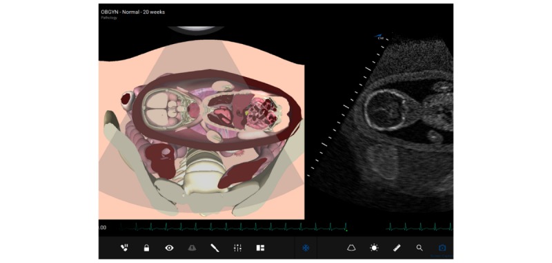 graphic file with name mededu_v5i2e13568_fig1.jpg