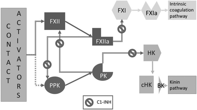 FIG. 1.