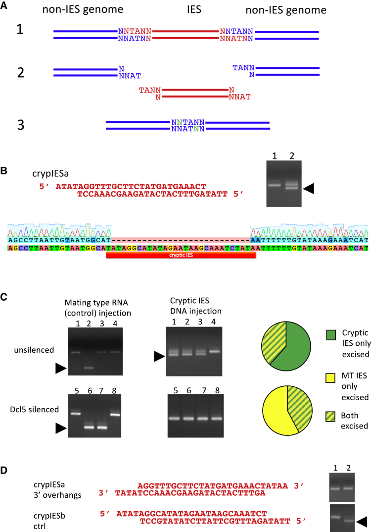 Figure 1