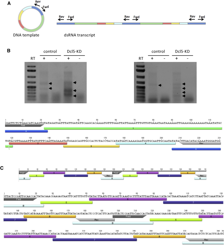 Figure 3