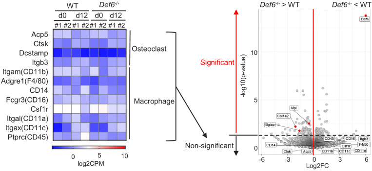 Figure 1—figure supplement 2.