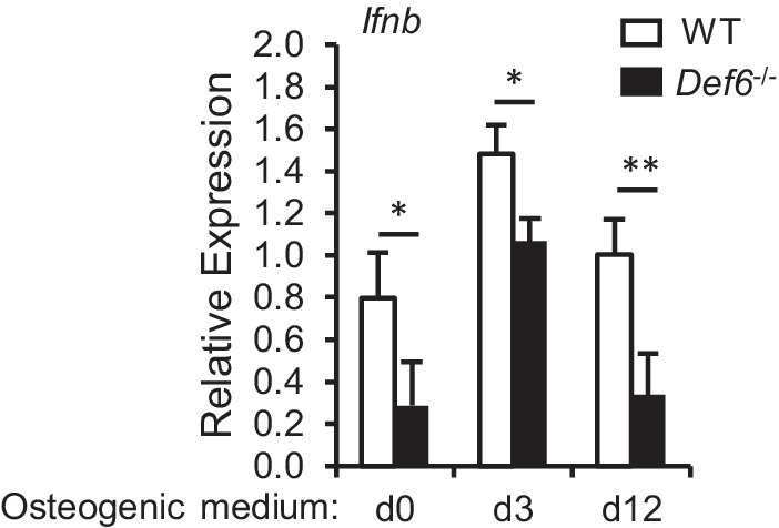 Figure 6—figure supplement 1.