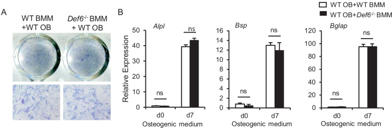 Figure 1—figure supplement 4.