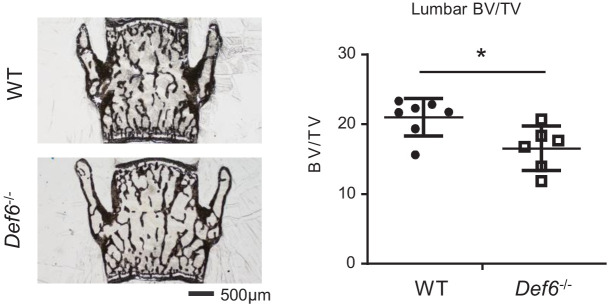 Figure 2—figure supplement 1.