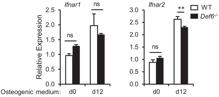 Figure 5—figure supplement 1.