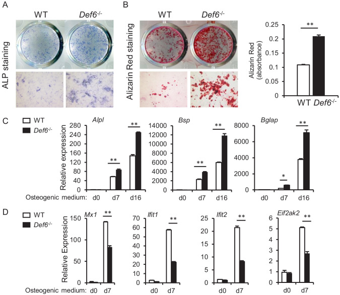 Figure 1—figure supplement 3.