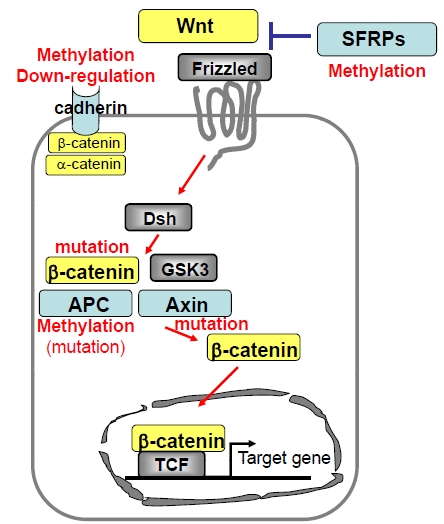 Fig. (3)