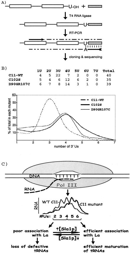 FIG.7.