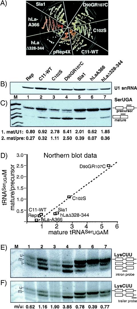 FIG. 6.