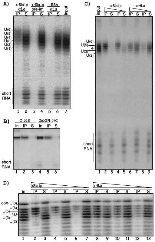 FIG. 5.