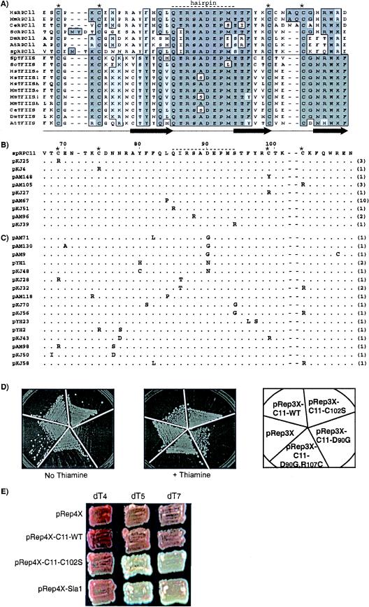 FIG.1.