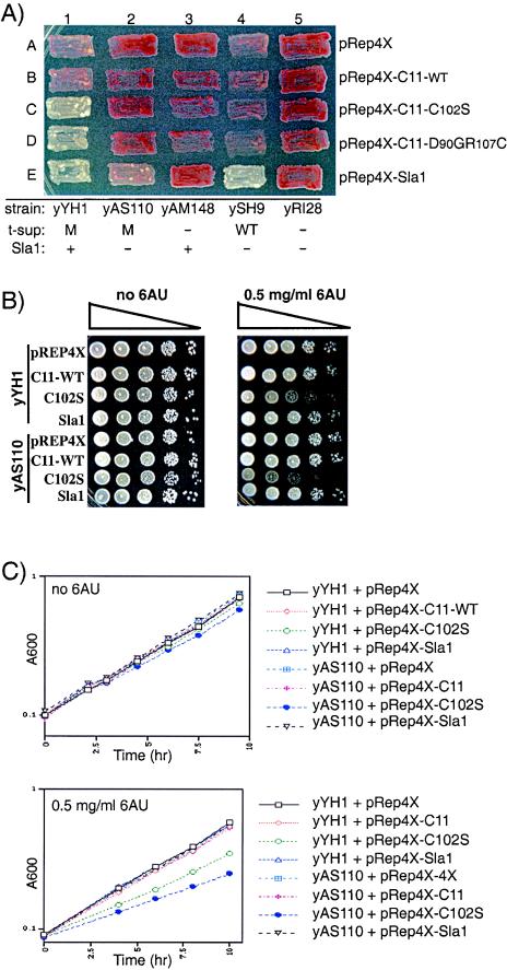 FIG.2.